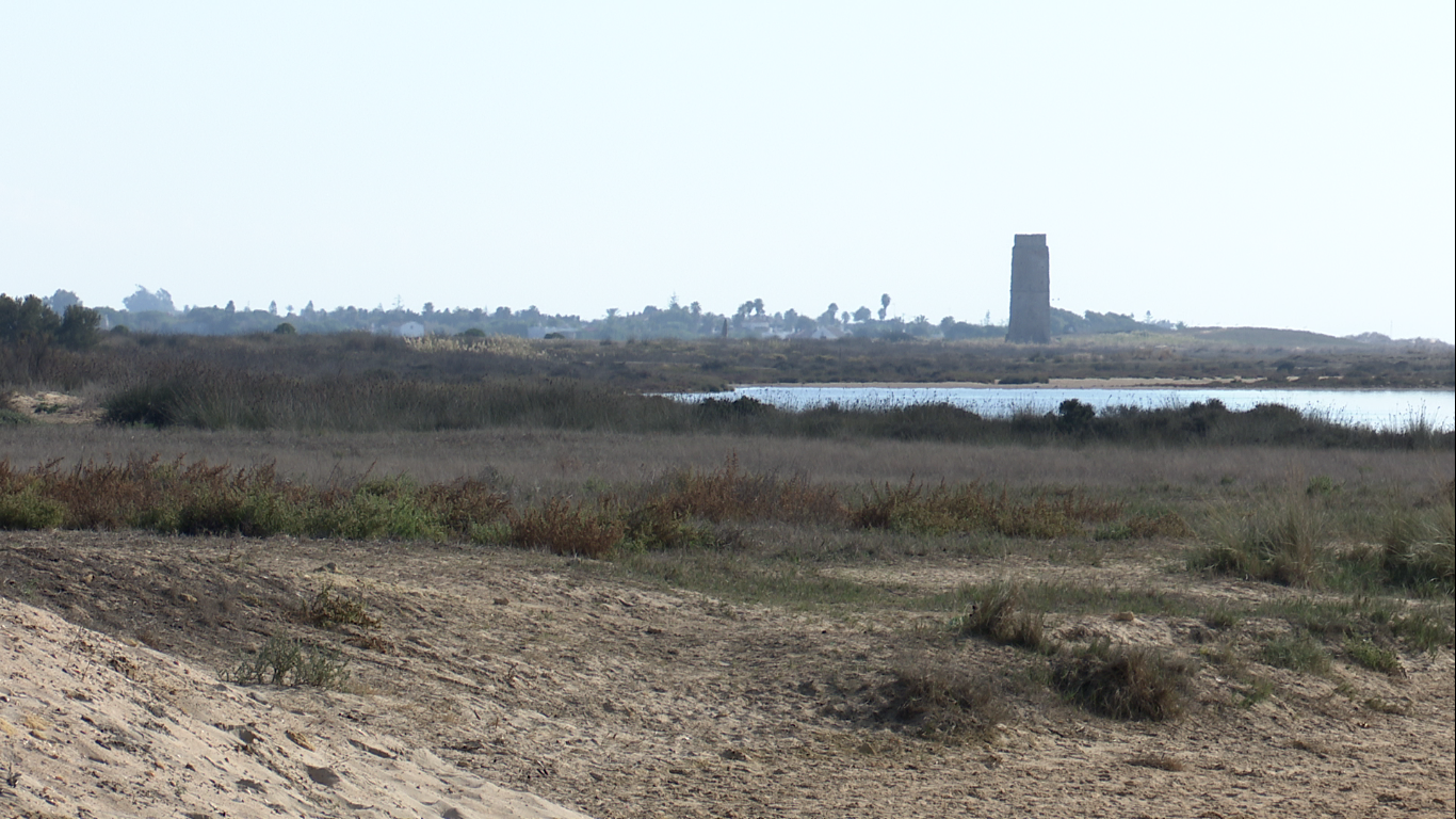 PLAYA CASTILNOVO CONIL