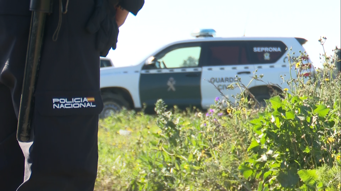 POLICÍA NACIONAL GUARDIA CIVIL SEPRONA DERRIBOS EL PALMAR MARZO